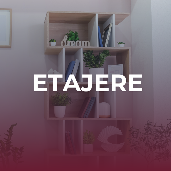 Descoperă oferta
