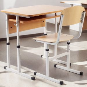 Set mobilier școlar pentru elev